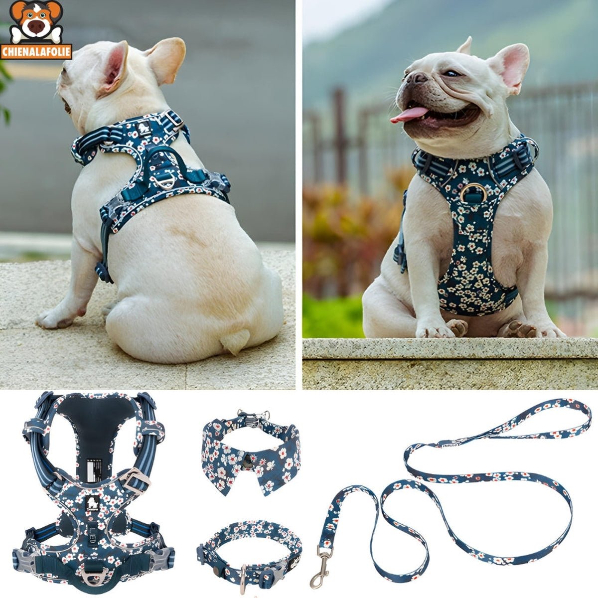 Ensemble Harnais, Laisse et Collier Floral Assortis - CJGX105020901AZ - Harnais - Chienalafolie