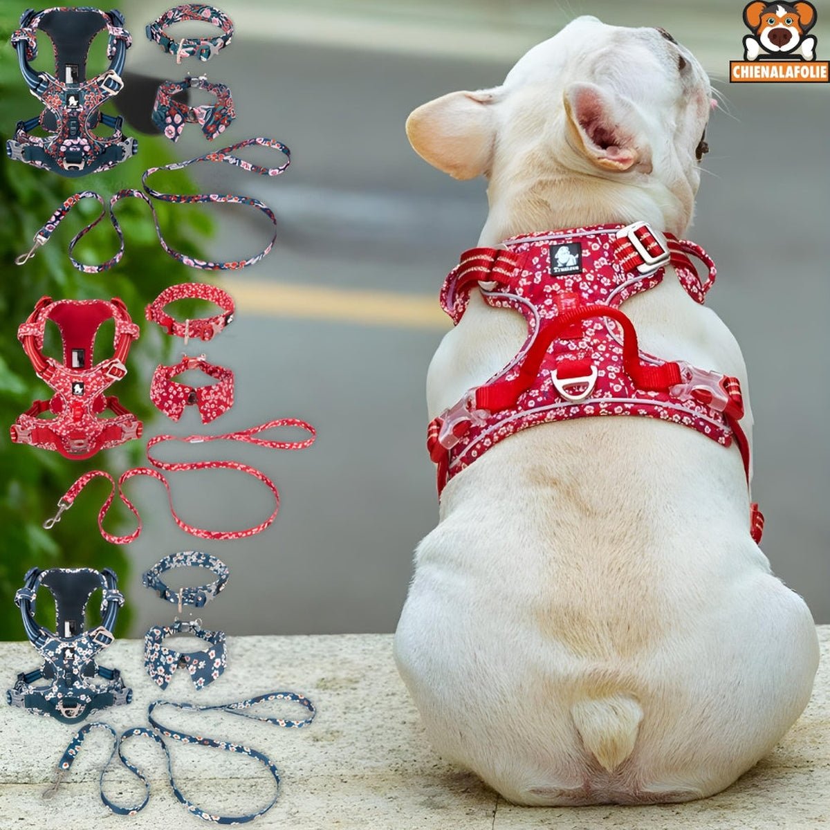 Ensemble Harnais, Laisse et Collier Floral Assortis - CJGX105020901AZ - Harnais - Chienalafolie
