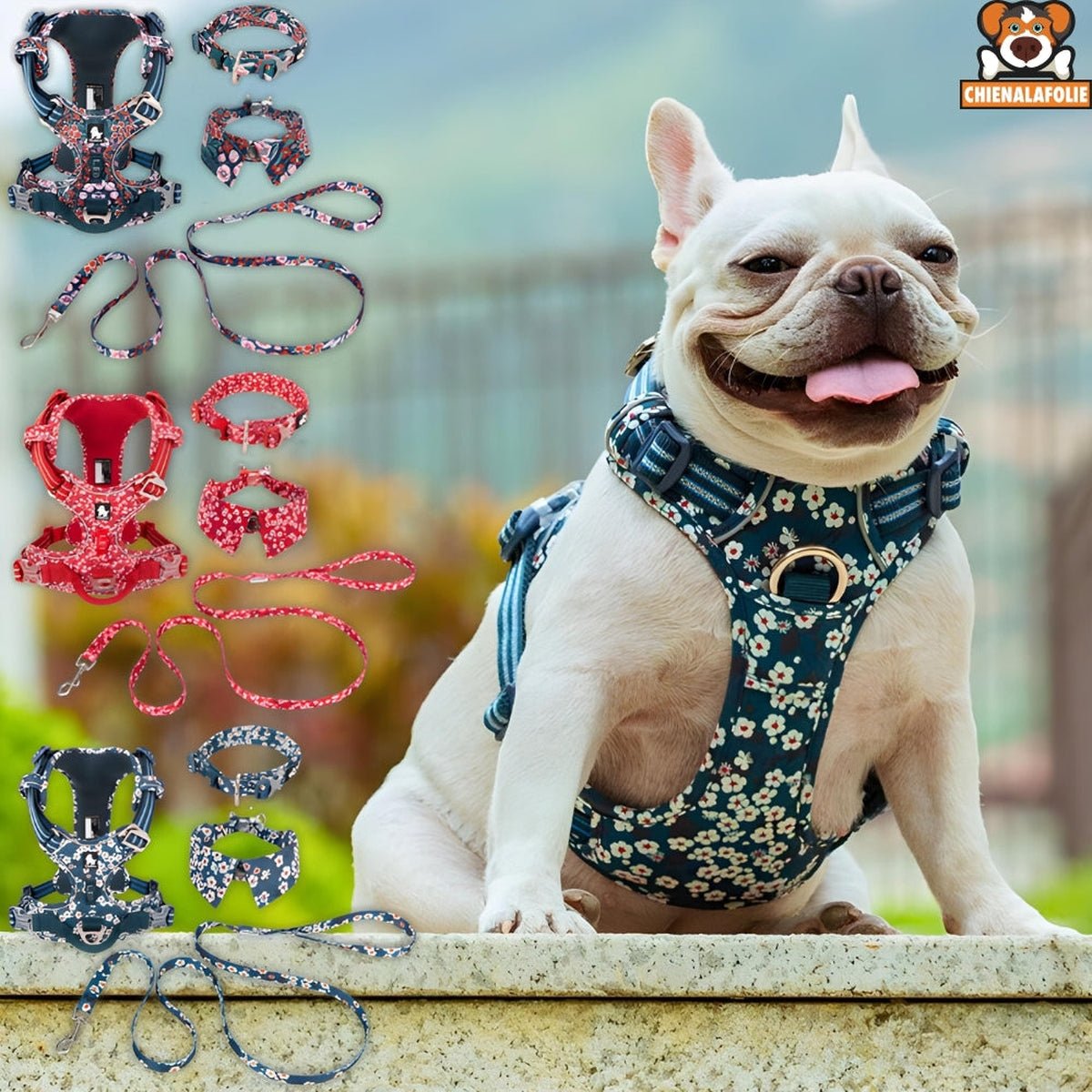 Ensemble Harnais, Laisse et Collier Floral Assortis - CJGX105020901AZ - Harnais - Chienalafolie