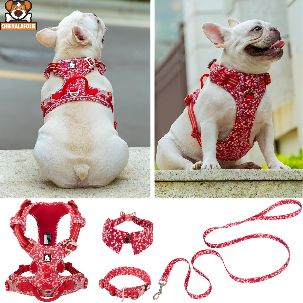 Ensemble Harnais, Laisse et Collier Floral Assortis - CJGX105020901AZ - Harnais - Chienalafolie