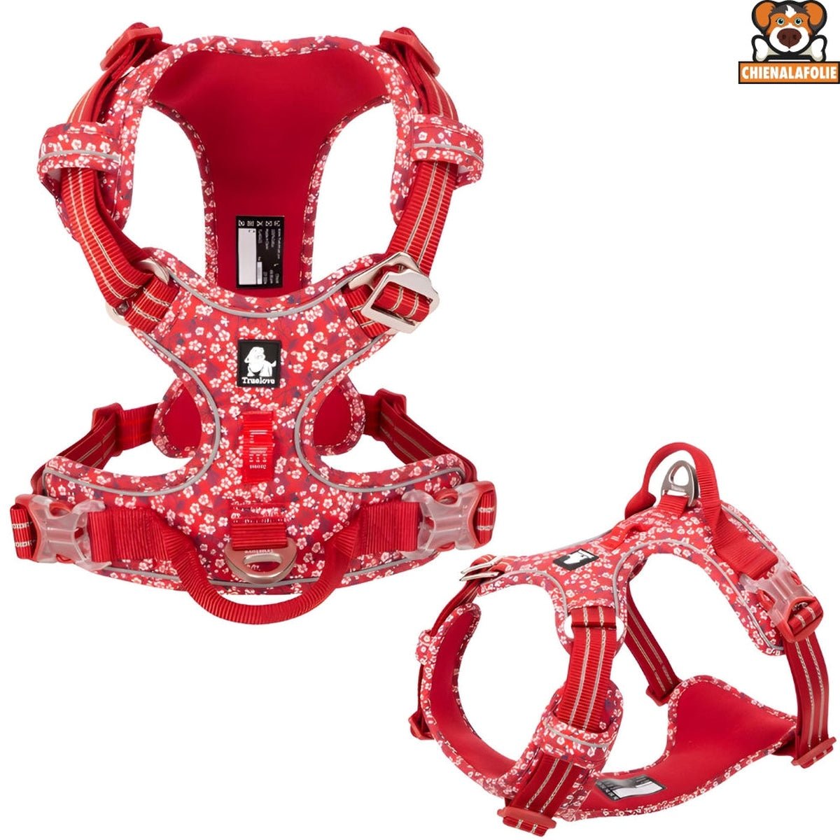 Ensemble Harnais, Laisse et Collier Floral Assortis - CJGX105020906FU - Harnais - Chienalafolie