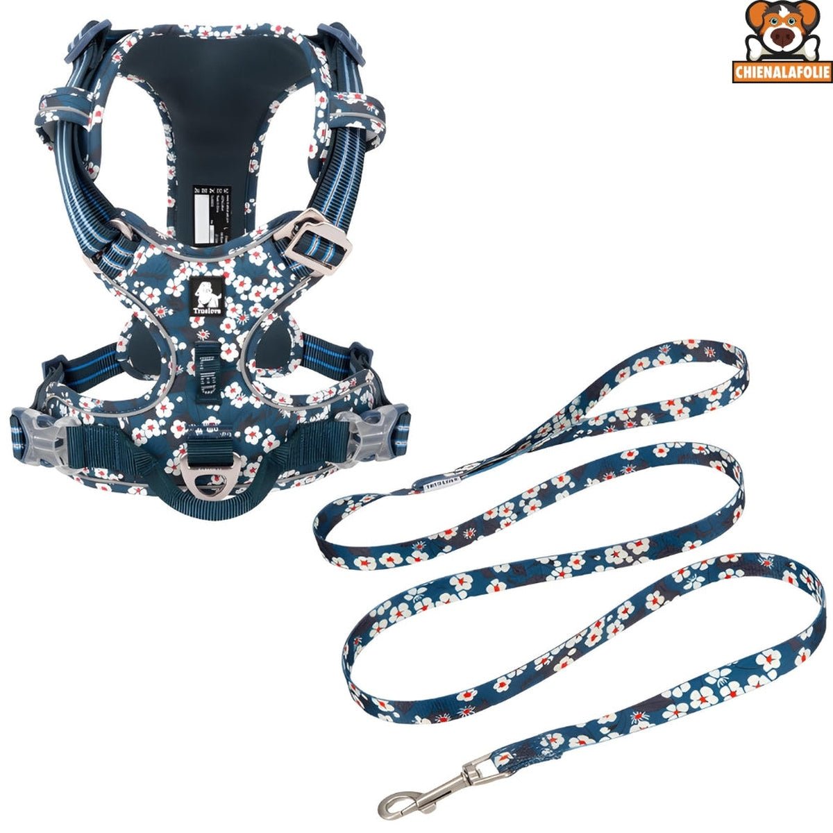 Ensemble Harnais, Laisse et Collier Floral Assortis - CJGX105020925YB - Harnais - Chienalafolie