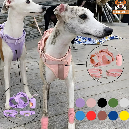 Ensemble Harnais pour Chien en PVC