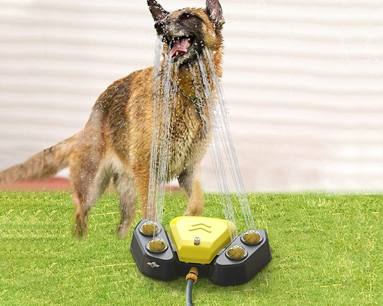 Fontaine Automatique Activée par la Patte pour Chiens - CJGY122373801AZ - Abreuvoirs - Chienalafolie