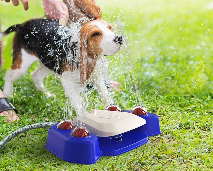Fontaine Automatique Activée par la Patte pour Chiens - CJGY122373801AZ - Abreuvoirs - Chienalafolie