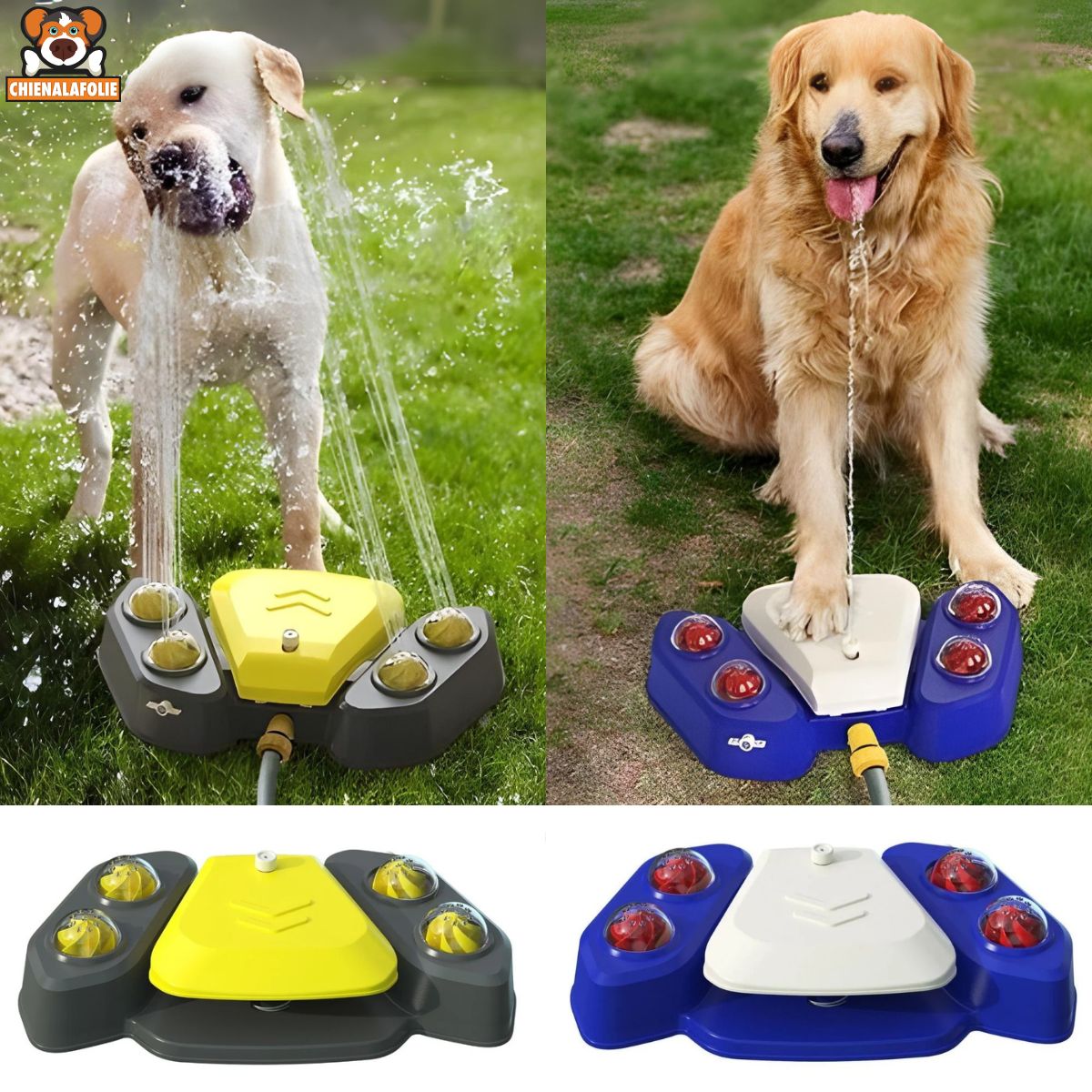 Fontaine Automatique Activée par la Patte pour Chiens - CJGY122373801AZ - Abreuvoirs - Chienalafolie