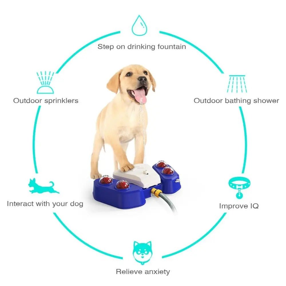 Fontaine Automatique Activée par la Patte pour Chiens - CJGY122373801AZ - Abreuvoirs - Chienalafolie