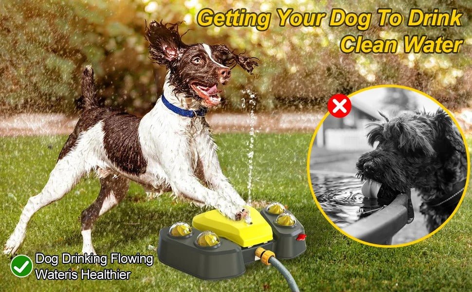 Fontaine Automatique Activée par la Patte pour Chiens - CJGY122373801AZ - Abreuvoirs - Chienalafolie