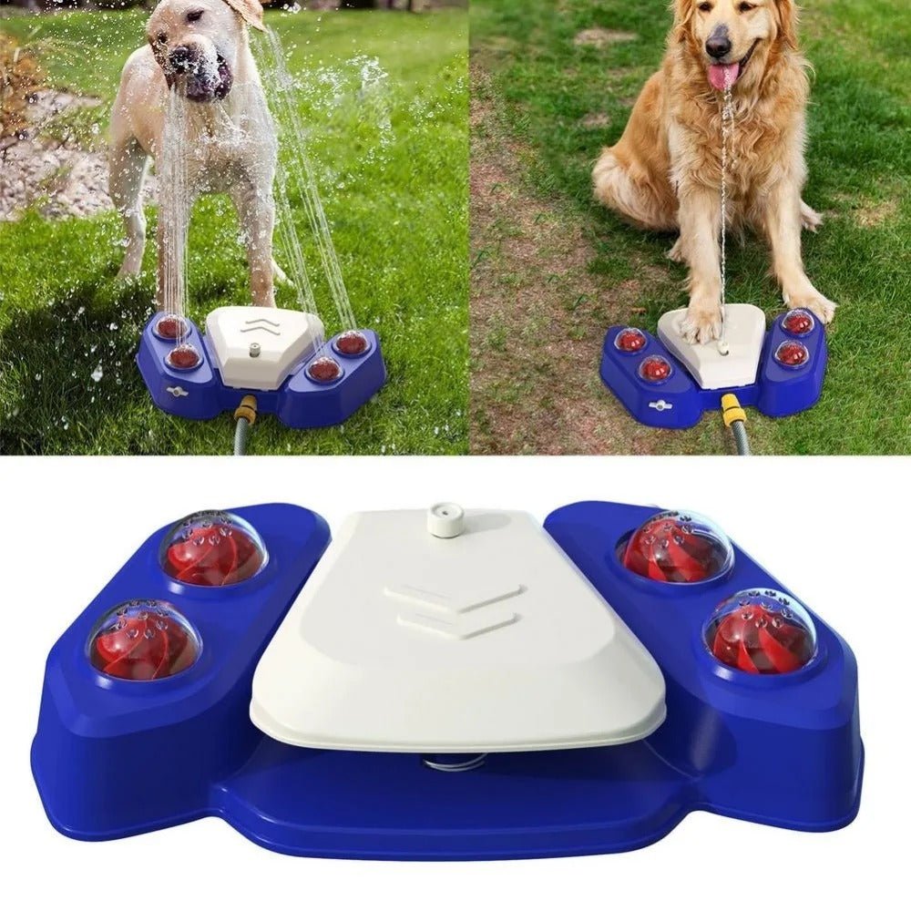 Fontaine Automatique Activée par la Patte pour Chiens - CJGY122373801AZ - Abreuvoirs - Chienalafolie
