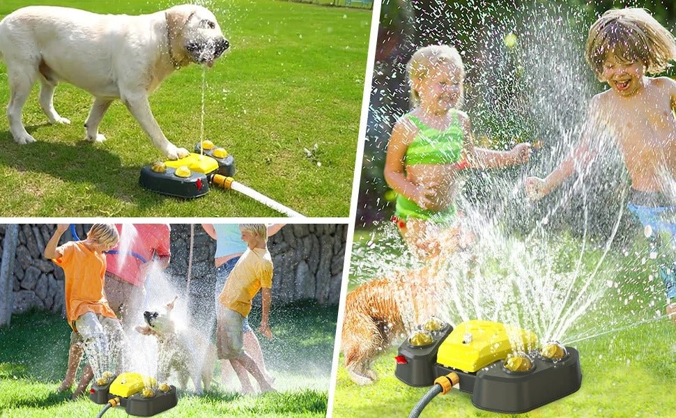 Fontaine Automatique Activée par la Patte pour Chiens - CJGY122373801AZ - Abreuvoirs - Chienalafolie