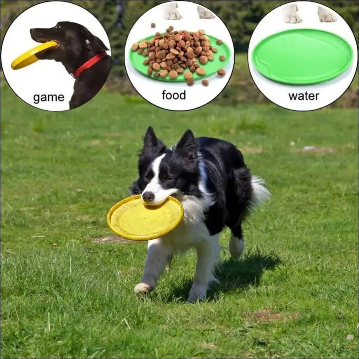Frisbee Flyingdisc Pour Chiens Résistant - CJGY117222602BY - Frisbee - Chienalafolie
