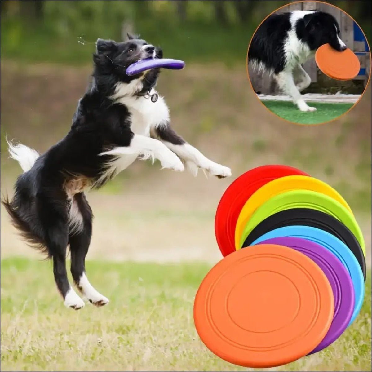 Frisbee Flyingdisc Pour Chiens Résistant - CJGY117222602BY - Frisbee - Chienalafolie