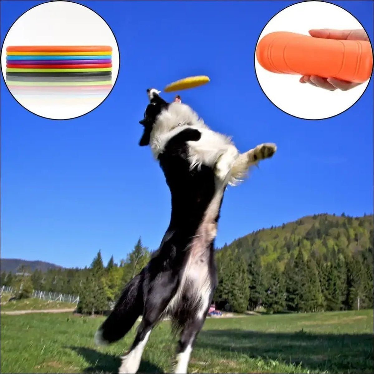 Frisbee Flyingdisc Pour Chiens Résistant - CJGY117222602BY - Frisbee - Chienalafolie