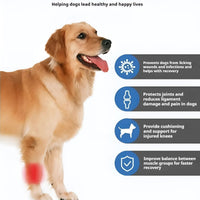Genouillère pour Chien Protection Ligamentaire et Récupération - CJGY209196701AZ - Genouillères - Chienalafolie