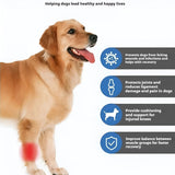 Genouillère pour Chien Protection Ligamentaire et Récupération - CJGY209196701AZ - Genouillères - Chienalafolie