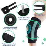 Genouillère pour Chien Protection Ligamentaire et Récupération - CJGY209196701AZ - Genouillères - Chienalafolie