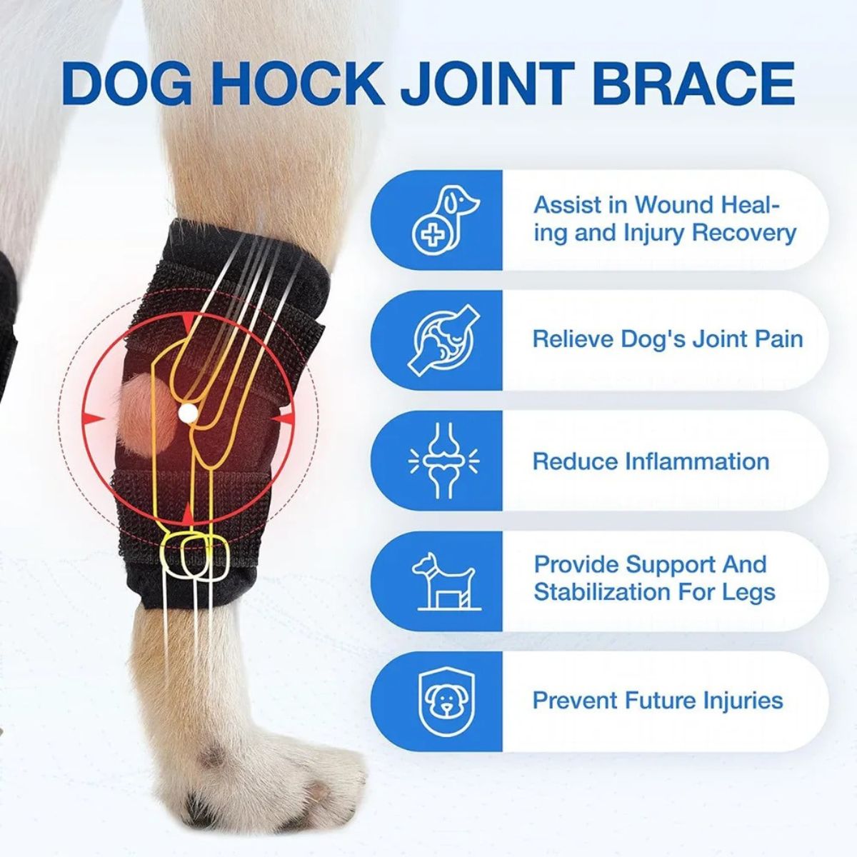 Genouillère pour Chien Protection Ligamentaire et Récupération - CJGY209196701AZ - Genouillères - Chienalafolie