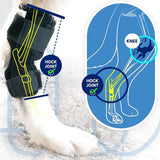 Genouillère pour Chien Protection Ligamentaire et Récupération - CJGY209196701AZ - Genouillères - Chienalafolie