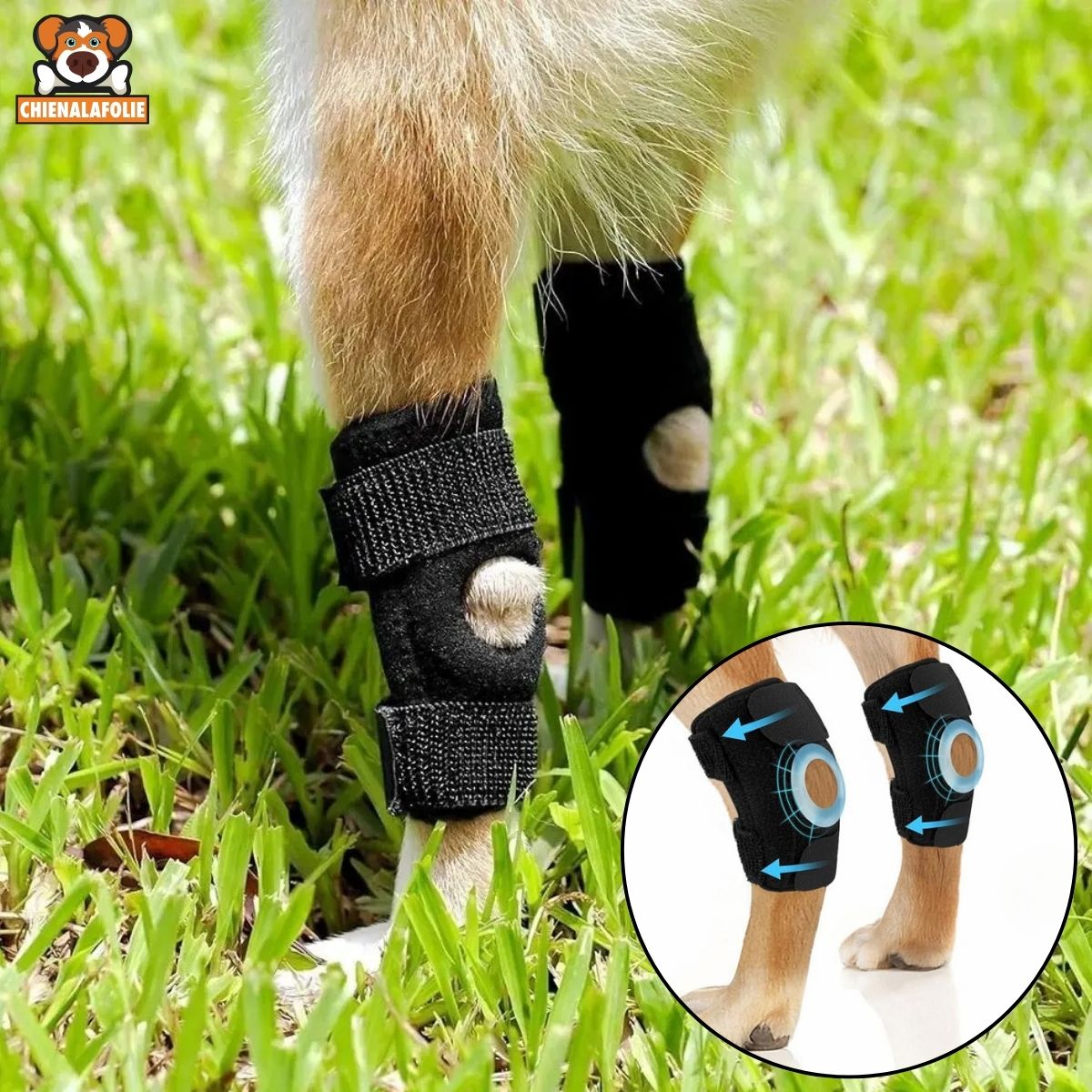 Genouillère pour Chien Protection Ligamentaire et Récupération - CJGY209196701AZ - Genouillères - Chienalafolie