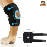 Genouillère pour Chien Protection Ligamentaire et Récupération - CJGY209196703CX - Genouillères - Chienalafolie