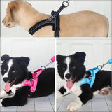 Harnais Anti - traction En Flanelle Pour Chien - CJJJCWGX00337 - Black - XS - Harnais - Chienalafolie