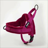Harnais Anti - traction En Flanelle Pour Chien - CJJJCWGX00337 - Rose red - XS - Harnais - Chienalafolie