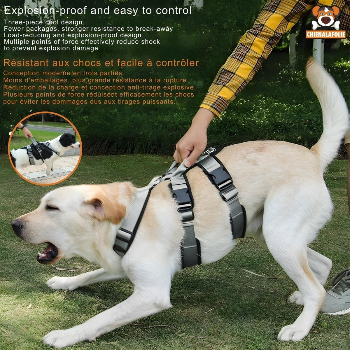 Harnais Chien Anti-Évasion Réglable Confort Respirant - CJGY200188001AZ - Harnais - Chienalafolie