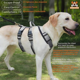 Harnais Chien Anti - Évasion Réglable Confort Respirant - CJGY200188001AZ - Harnais - Chienalafolie