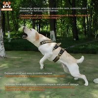 Harnais Chien Anti - Évasion Réglable Confort Respirant - CJGY200188001AZ - Harnais - Chienalafolie