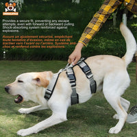 Harnais Chien Anti - Évasion Réglable Confort Respirant - CJGY200188001AZ - Harnais - Chienalafolie