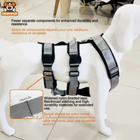 Harnais Chien Anti - Évasion Réglable Confort Respirant - CJGY200188001AZ - Harnais - Chienalafolie