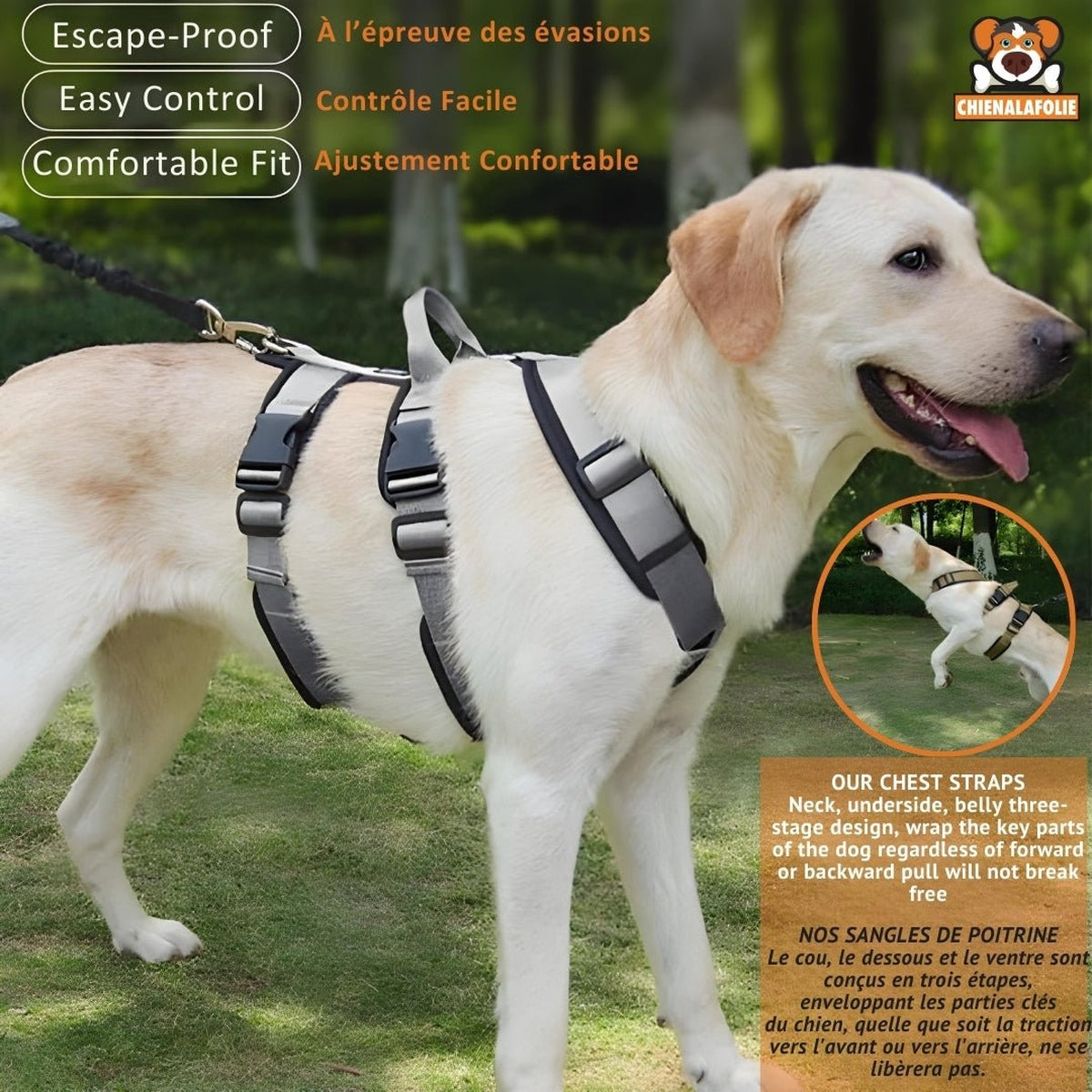Harnais Chien Anti-Évasion Réglable Confort Respirant - CJGY200188001AZ - Harnais - Chienalafolie