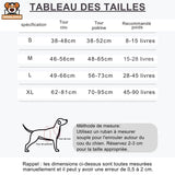 Harnais Chien Anti-Évasion Réglable Confort Respirant - CJGY200188001AZ - Harnais - Chienalafolie