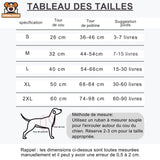Harnais Chien Anti-Traction Confort et Design - CJGY202124801AZ - Harnais - Chienalafolie