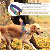 Harnais Chien Anti-Traction Confort et Design - CJGY202124801AZ - Harnais - Chienalafolie