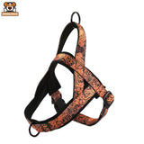 Harnais Chien Anti-Traction Confort et Design - CJGY202124801AZ - Harnais - Chienalafolie