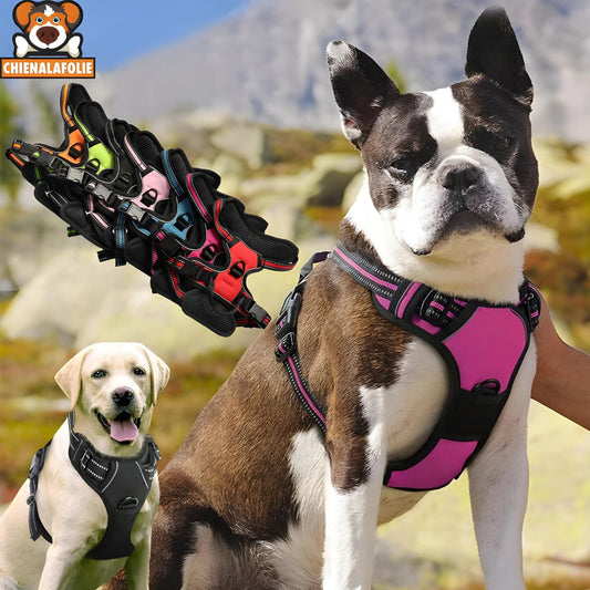 Harnais Chien Anti-Traction Réfléchissant