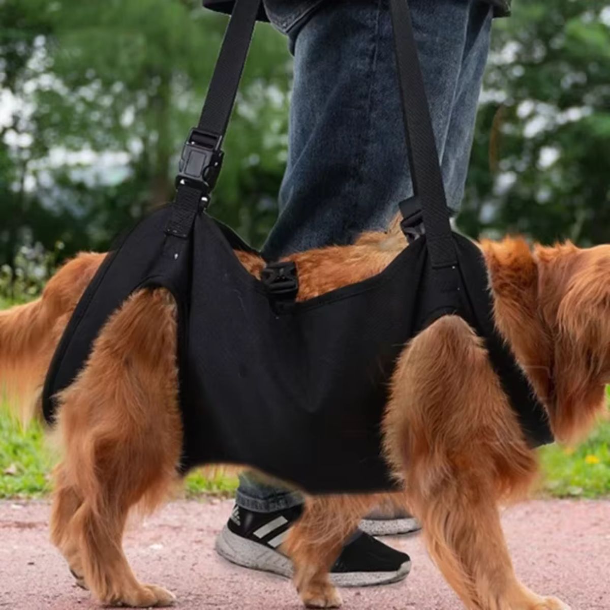 Harnais de Levage Réglable pour Chien en Tissu Oxford - CJGY208955001AZ - Harnais - Chienalafolie