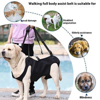 Harnais de Levage Réglable pour Chien en Tissu Oxford - CJGY208955001AZ - Harnais - Chienalafolie