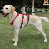 Harnais de Poitrine Anti - Fuite pour Grand Chien - CJGY207729301AZ - Harnais - Chienalafolie