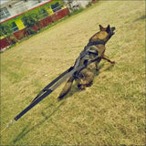 Harnais D’entraînement Pour Chiens - CJGX123991101AZ - Harnais - Chienalafolie