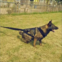 Harnais D’entraînement Pour Chiens - CJGX123991101AZ - Harnais - Chienalafolie