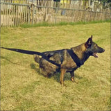 Harnais D’entraînement Pour Chiens - CJGX123991101AZ - Harnais - Chienalafolie