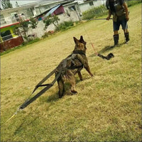 Harnais D’entraînement Pour Chiens - CJGX123991101AZ - Harnais - Chienalafolie