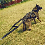 Harnais D’entraînement Pour Chiens - CJGX123991101AZ - Harnais - Chienalafolie