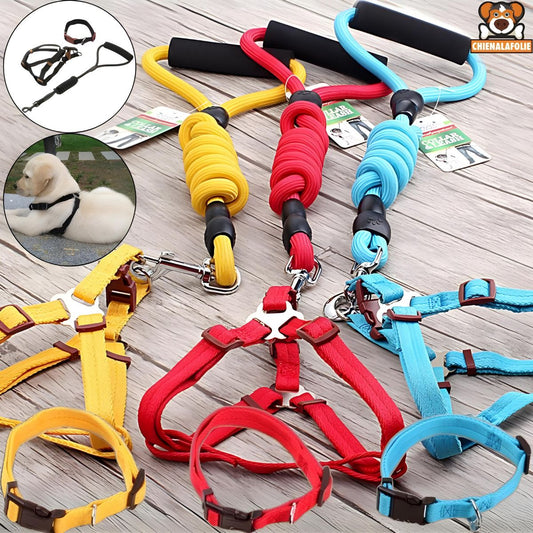 Harnais, Laisse et Collier pour Chien