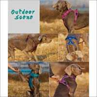 Harnais Pour Un Confort Canin Optimal - CJGY180007951YB - Harnais - Chienalafolie