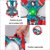 Harnais Pour Un Confort Canin Optimal - CJGY180007951YB - Harnais - Chienalafolie