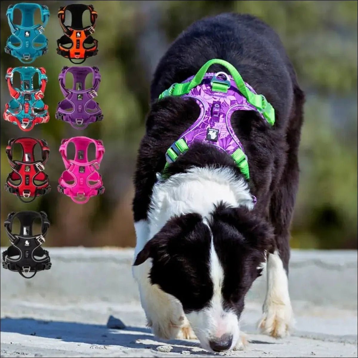 Harnais Pour Un Confort Canin Optimal - CJGY180007951YB - Harnais - Chienalafolie