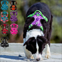 Harnais Pour Un Confort Canin Optimal - CJGY180007951YB - Harnais - Chienalafolie